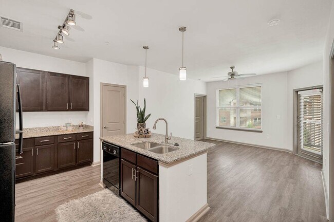 Anatole at Norman general photo - Anatole at Norman