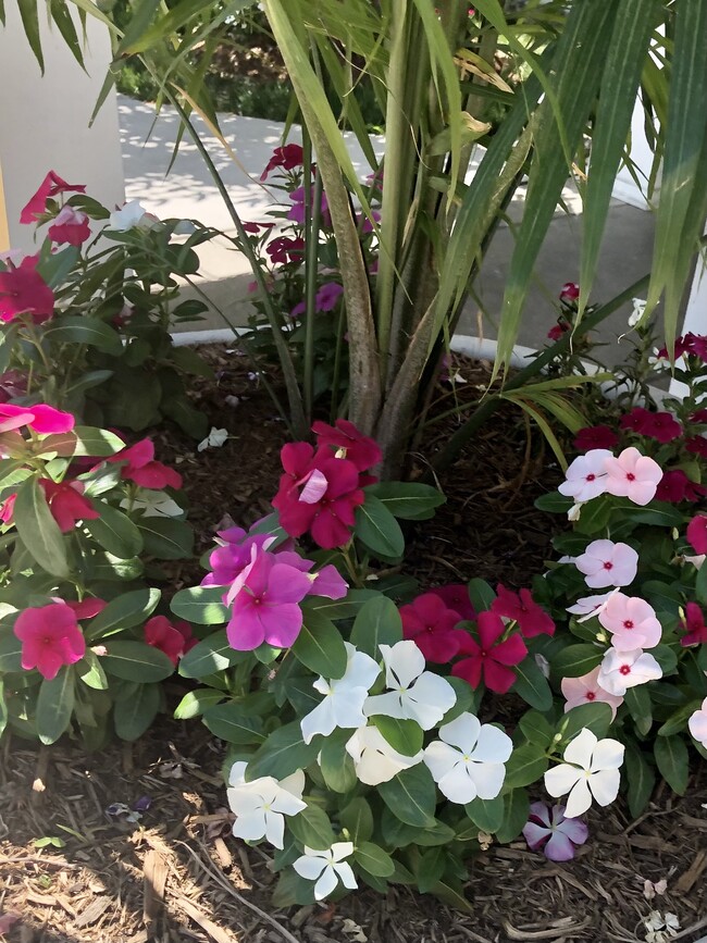 Photo - Victoria Park at Edgewater