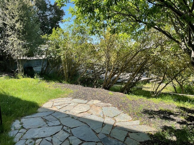 Photo - Newly Renovated 1 bed 1 bath