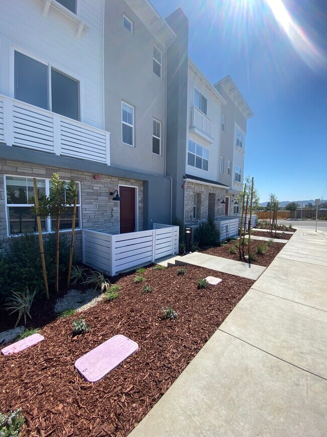 Photo - Vinifera Townhomes