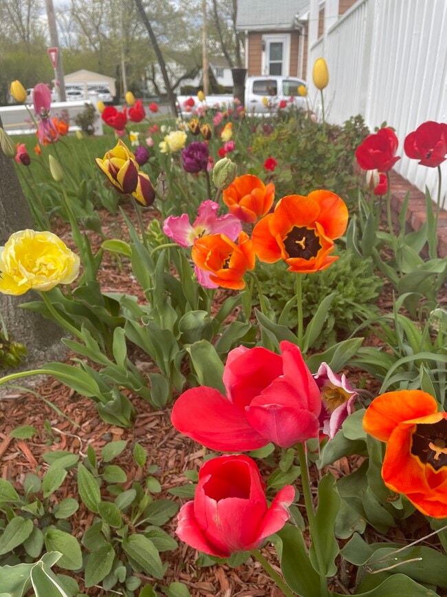 Photo - 229 Essex St Unidad 2