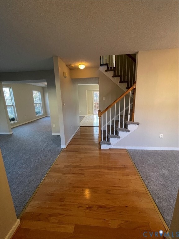 Photo - 7806 Fern Hollow Dr