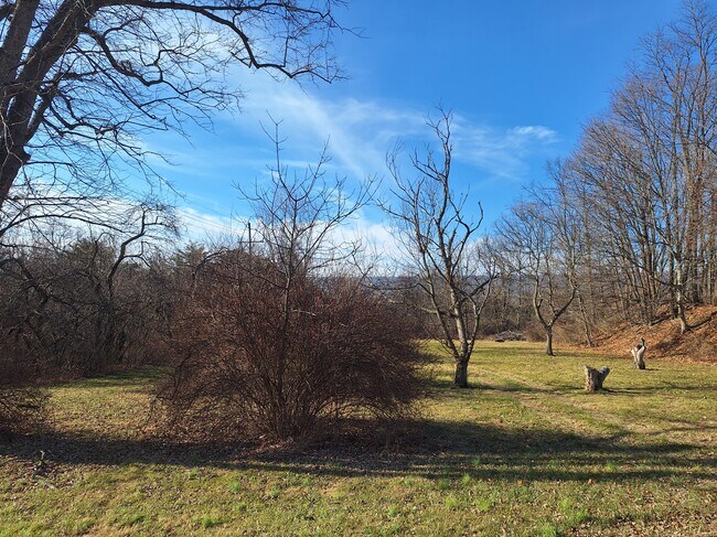 Photo - 354 Buchanan Trl Unit 4 Studio