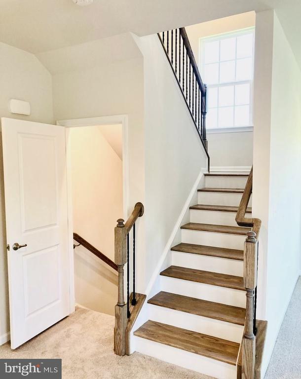 Photo - 5303 Ivy Hill Dr