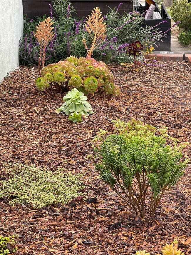 Photo - 3552 Sierra St Unidad Northeast LA