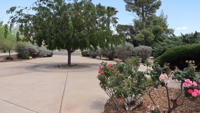 Photo - inground pool