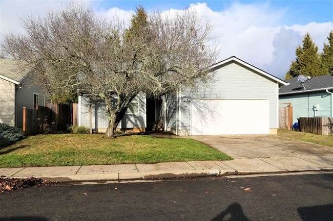 3 bed 2 bath Big Garden, Close to park and... - 3 bed 2 bath Big Garden, Close to park and... House