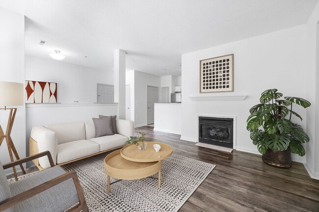 Photo - Aventura RTP