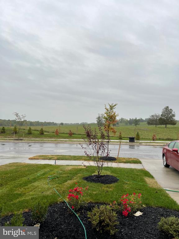 166 Hamstead Dr House House Rental in Stephens City, VA