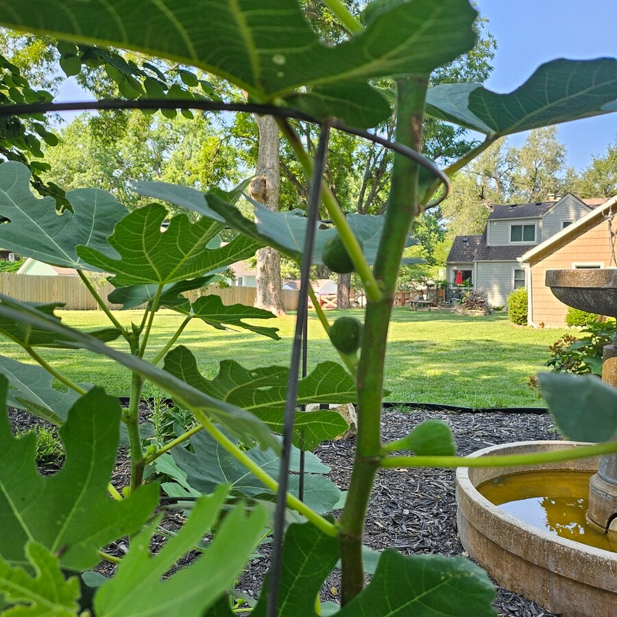 Photo - 5711 Maywood Ave