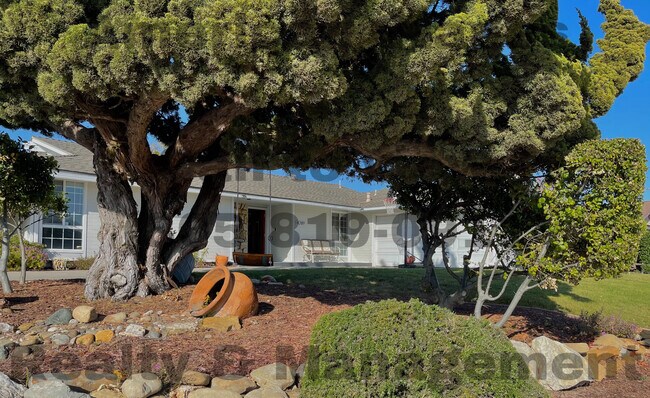 Photo - 4289 Constellation Rd