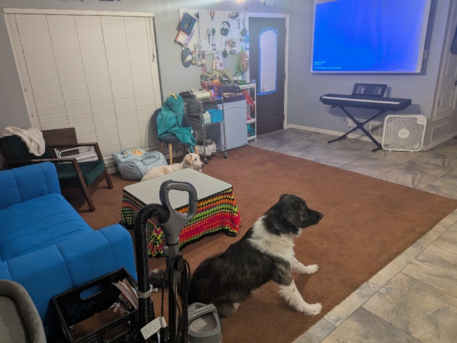 Photo - 3814 Starhill Dr