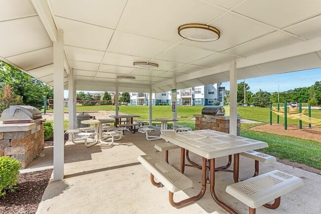 Outdoor Grills