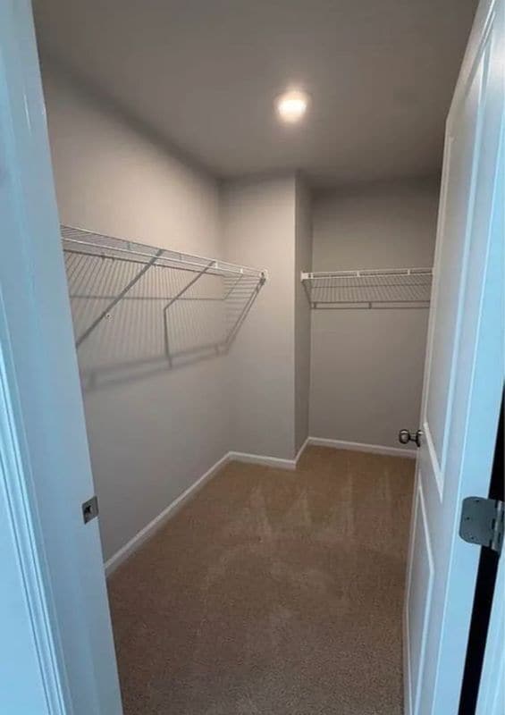 114 Timber Fls Dr