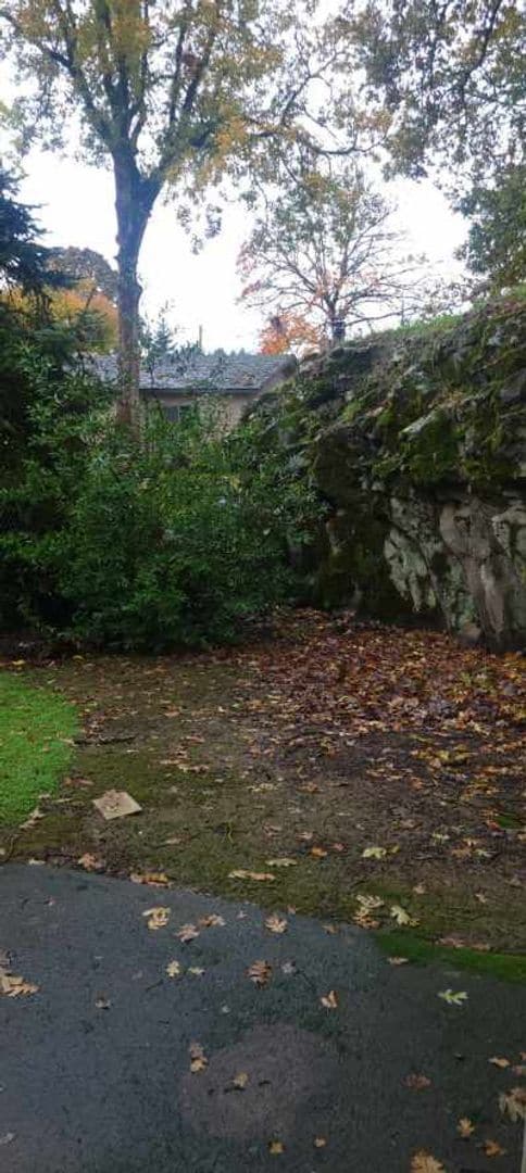 Photo - 335 S 16th St Unit B