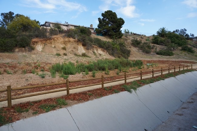 Walking Path Behind Property