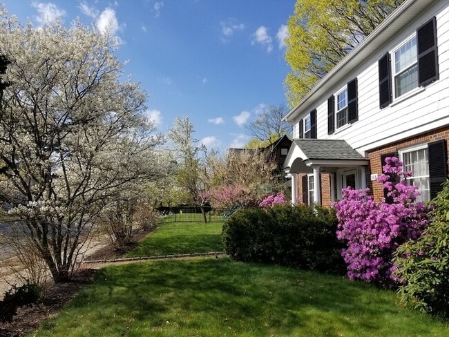 Photo - 269 Waltham St