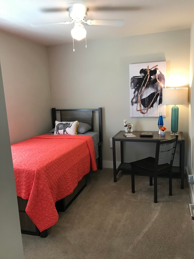 The Oasis (Student Housing) Apartments Lynchburg, VA