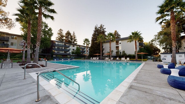 Spruce Apartments