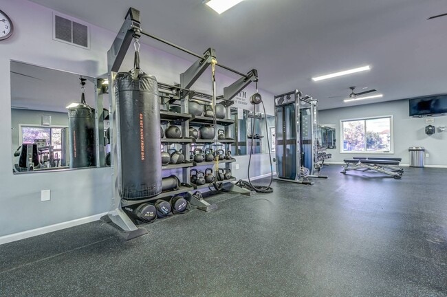 Fitness Center TRX Station