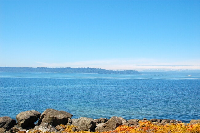Building Photo - West Seattle Waterfront Condominium ~ West... Unit B12