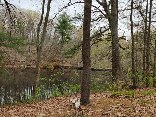 Photo - 480 Maupas Rd N Unit 4