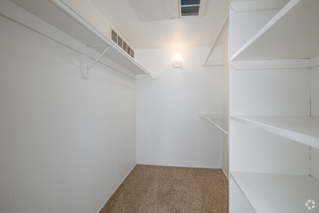 1BR, 1BA - 420SF - Closet