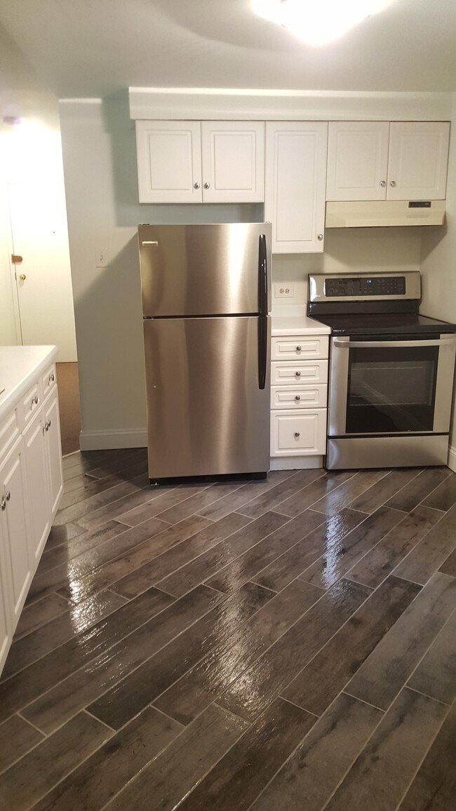 NEW hardwood like floors throughout entire unit. - 832 W George St Apartments Unit GR