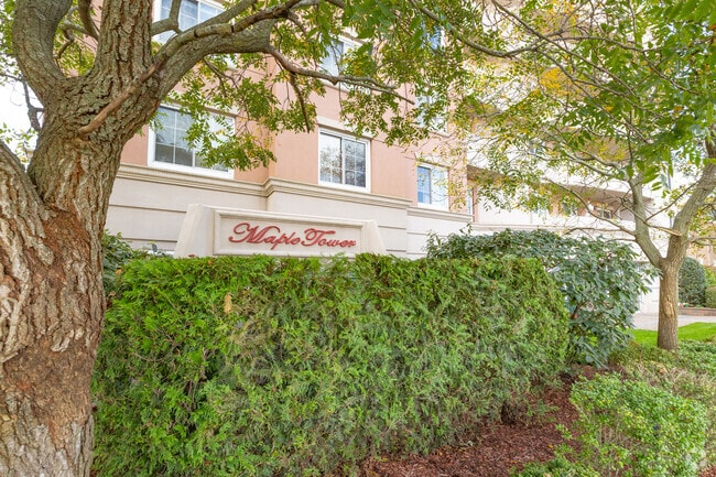 Photo - Maple Tower Condominium