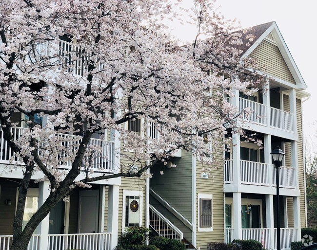 Building Photo - Oaks of Woodlawn Rental