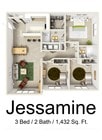 Jessamine