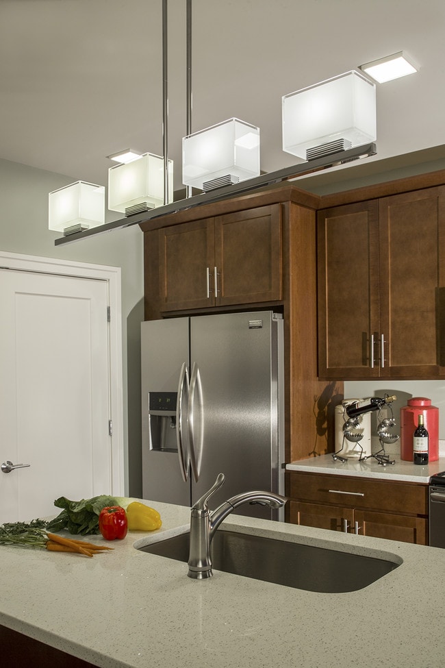 Stainless Steel Appliances