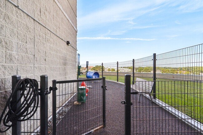 Pet Play area