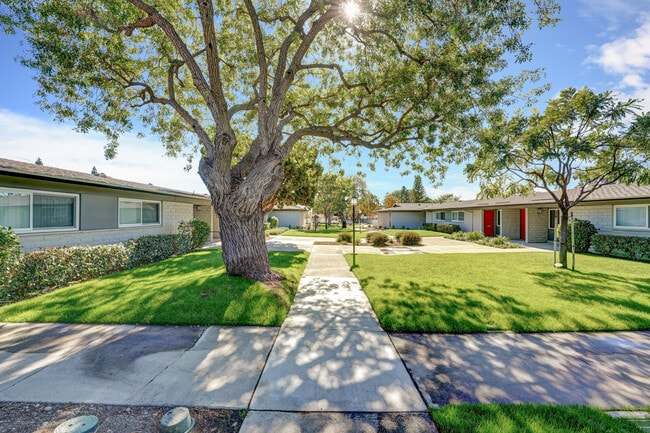 The Pines Apartments