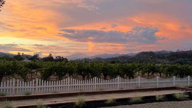 Photo - Pet Friendly! Walk to Downtown