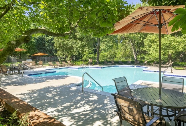 Photo - Calvert's Walk