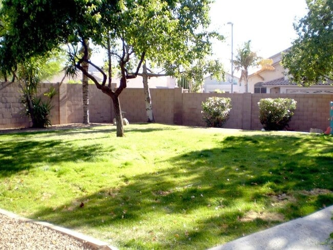 Building Photo - 2429 E Patrick Ln