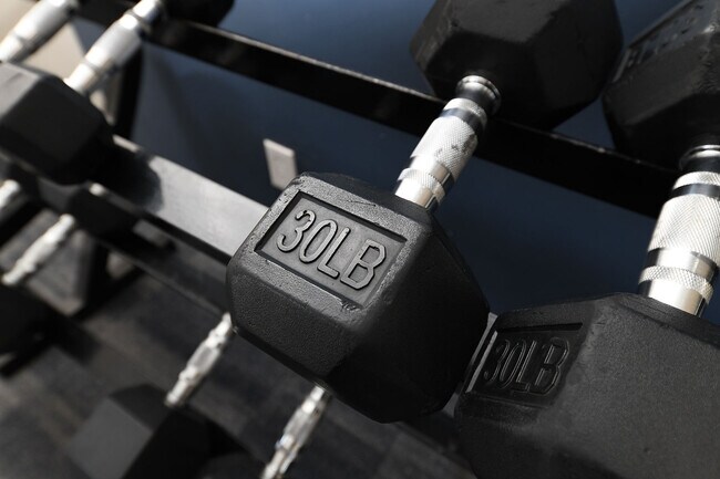 Free Weights