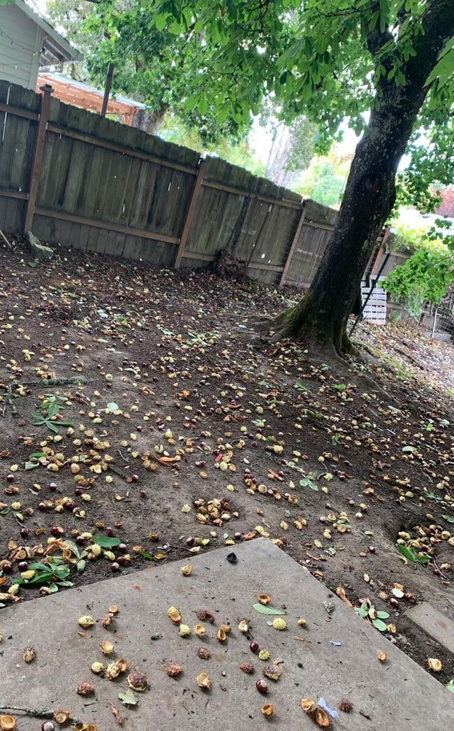 Photo - 4166 SW 170th Ave
