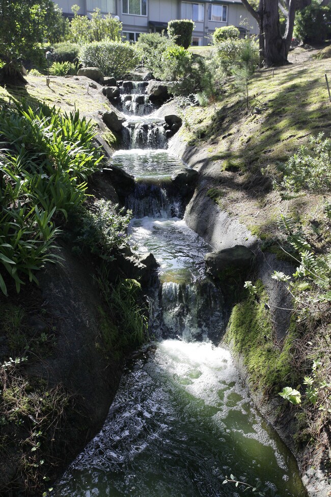 Photo - Crown Colony