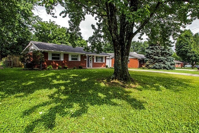 Building Photo - Everything' Is Updated!  4BR, 1BA -  Fully... Rental