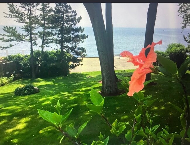 Photo - 12 Hesperus Cir