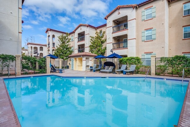 Photo - Monarch at Dos Vientos