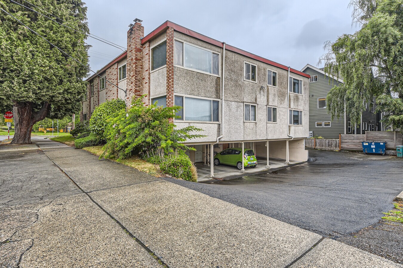 Photo - Woodland Walk