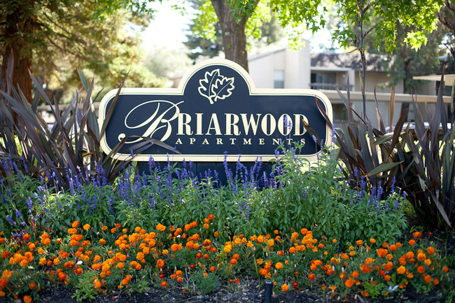 Briarwood Apartments - Briarwood Apartments