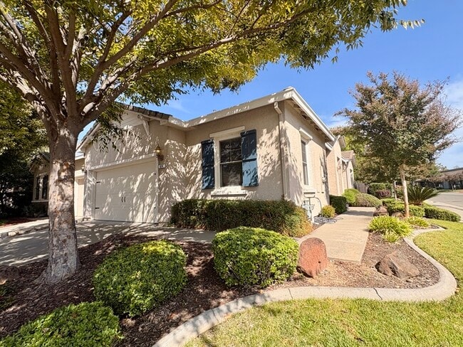 Beautiful 3 Bedroom, 2 Bathroom Home Walking Distance To The Fountains / Galleria!