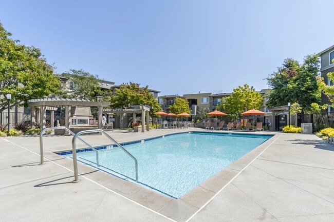 Make every day feel like a resort day at our sparkling swimming pool. - The Tides