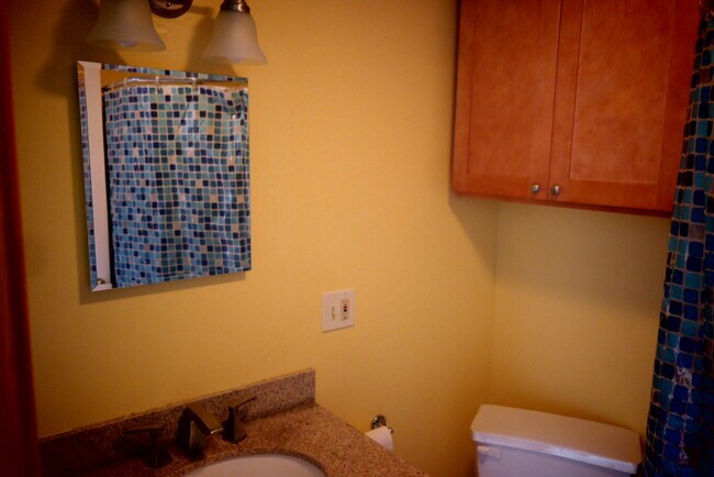 Bathroom 1 - 11 Summit Rd Unidad 1