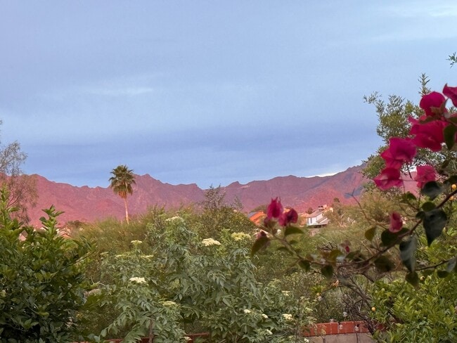 Photo - 1702 N Greasewood Rd