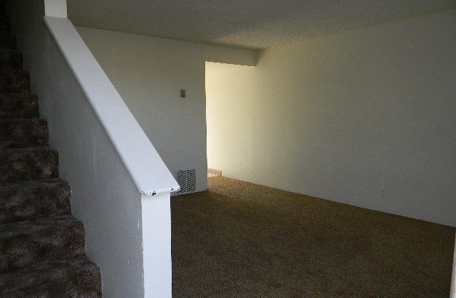 Photo - Available Now!